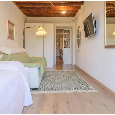 Carlina Charme 10 Minutes From Porta Nuova - Wifi * トリノ